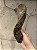 Shofar de Carneiro - Direto de Israel | Modelo B7 - Imagem 1