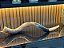 Shofar de Antílope Direto de Israel | Modelo C4 87cm - Imagem 5