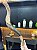 Shofar de Antílope Direto de Israel | Modelo C3 85cm - Imagem 4