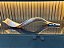 Shofar de Antílope Direto de Israel | Modelo C3 85cm - Imagem 11