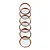 Discos + Elástico Rose Gold G 31mm - Caderno Inteligente - Imagem 2