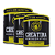 Creatina Gold’s Gym 300g – Kit com 3 Unidades | Alta Pureza - Imagem 1
