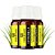 Kit 03 Óleo Essencial Citronela​ 10 mL HerboMel Natural - Imagem 5