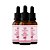 Kit 03 Óleo Vegetal Rosa Mosqueta 30ml HerboMel Natural - Imagem 2