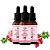 Kit 03 Óleo Vegetal Rosa Mosqueta 30ml HerboMel Natural - Imagem 1