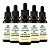 Kit 5 Extrato de Própolis Verde 30ml HerboMel Natural - Imagem 1