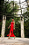 VESTIDO LEANDRA VERMELHO - Imagem 1