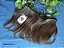 CABELO HUMANO BRASILEIRO CASTANHO ESCURO 29CM TECIDO PERSONALIZADO 107 - Imagem 4