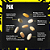 ANIMAL PAK ULTIMATE FOUNDATION 30 SACHES - UNIVERSAL NUTRITION - Imagem 4