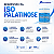 ISO PALATINOSE 300G - PERFORMANCE NUTRITION - Imagem 2