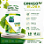 GINKGO BILOBA POTE 60 COMPRIMIDOS - NEW VITTA - Imagem 2