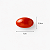 COQ10 60 CÁPSULAS - ESSENTIAL NUTRITION - Imagem 3