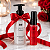 KIT Suculenta Calianer By Intt - Imagem 1
