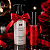 KIT Suculenta Calianer By Intt - Imagem 13