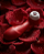 Vibrador Satisfyer Pro 2 | Deborah Secco - Imagem 3