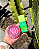Kit Cama Molhada | Pico Pulse + Bubble Vibes - Imagem 1