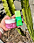Kit Cama Molhada | Pico Pulse + Bubble Vibes - Imagem 2