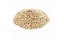Psyllium Fibra - Imagem 1