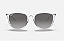 Óculos Solar Ray-Ban Feminino RB 4171 ERIKA 6516/11 54-18 145 2N - Imagem 2