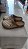Easy Dourado - Imagem 2