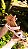 Sandália Rio Rose Nude Boa Onda - Imagem 3