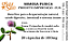 MIMOSA PUDICA - Imagem 1