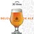 Receita Belgian Blonde Ale 20 Litros - Imagem 1