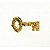 Pin Chave Dourada - Imagem 1