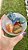 Bowl de Selenita Branca - Imagem 1