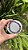 Pulseira Ametista - 8mm - Imagem 2