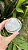 Pulseira acalma a mente - Imagem 3