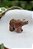 Urso  Dolomita - Imagem 2