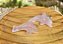 Pingente Golfinho - Quartzo Rosa - Imagem 1