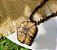 Colar Olho de Tigre com Jagube - Prata - Imagem 4