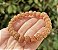 Pulseira Semente de Rudraksha - Imagem 1