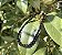 Pulseira Turmalina Negra - 4mm - Imagem 1