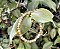 Pulseira Jaspe Paisagem - 4mm - Imagem 1