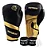 Kit Luva De Boxe E Muay Thai Elite - Pretorian 12oz Preto/Dourado - Imagem 1