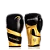 Kit Luva De Boxe E Muay Thai Elite - Pretorian 12oz Preto/Dourado - Imagem 2
