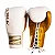 LUVA BOXE/MUAY THAI 14OZ TRANCADA BRANCO/ DOURADO PRETORIAN - Imagem 1