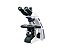 Microscópio trinocular ótica infinita, aumento de 1000x, bivolt, mod.: BLUE1000-T-I-L (Biofocus) - Imagem 1