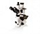 Microscópio invertido binocular com contraste de fase, bivolt, mod.: BIOINVERT-BINO (Biofocus) - Imagem 2