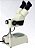 Estereomicroscópio Binocular com Aumento até 80x, Lâmpada de LED, Bivolt XT-3L-BI (Biofocus) - Imagem 1