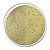 Agar Cromogênico Listeria Base (ISO 11290-1), Frasco com 500 g, mod.: K25-1345 (Kasvi) - Imagem 2