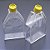 Frasco para cultivo celular 75 cm2 (65 mL), sem filtro (Vent), PS, caixa com 100 unidades 90075 (TPP) - Imagem 3