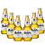 KIT 6 CERVEJA MODELO - Imagem 1