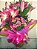 LIRIO ROSA COM CALANDIVA - Imagem 1