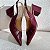 Scarpin Slingback Feminino Vinho Mariotta 20663 - Imagem 3