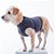 Colete Calm Pet - Imagem 3