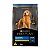 Proplan Active Mind Cães Todas as Raças 7+ 1kg - Imagem 1